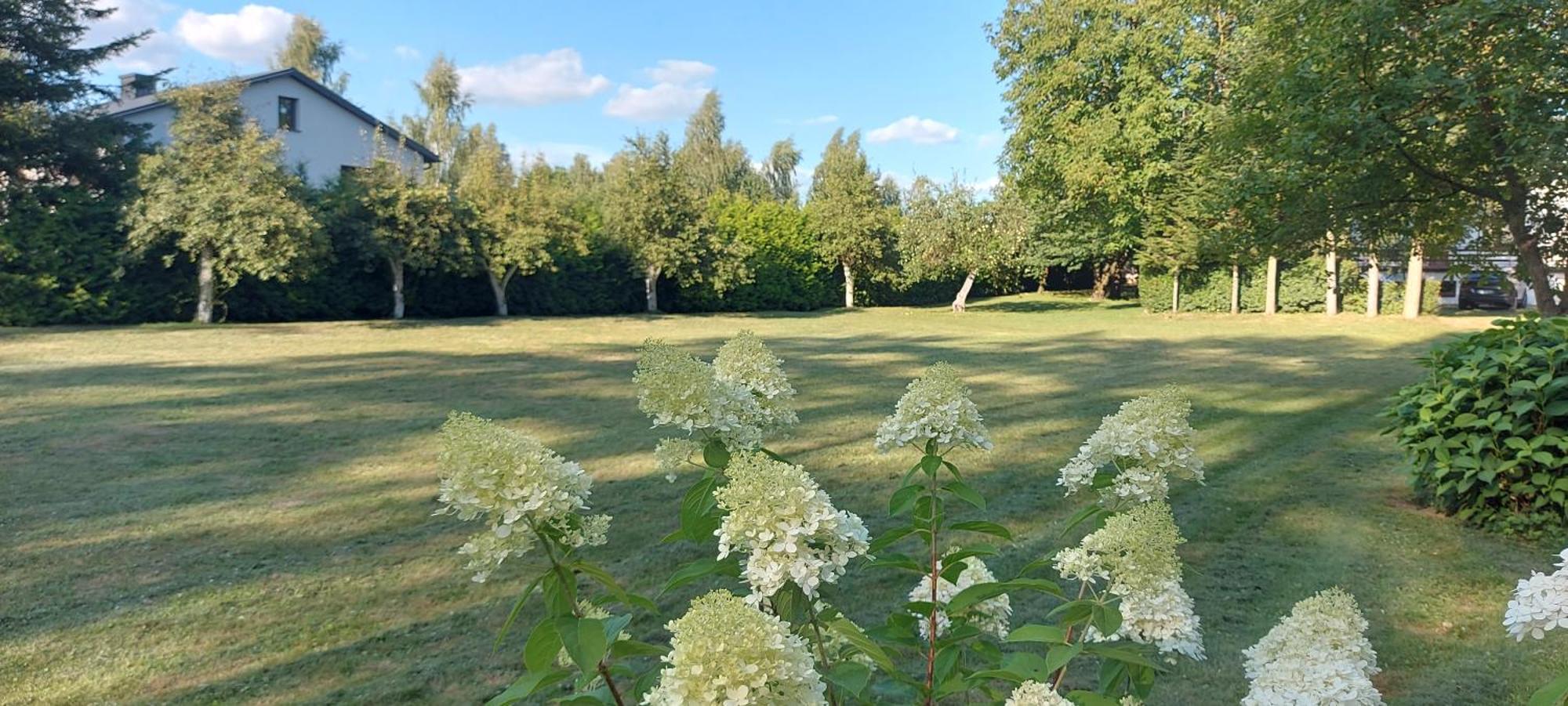 Pokoje Goscinne Stokrotka Naleczow Luaran gambar